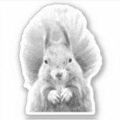 Schwarz-Weiß-Eichhörnchen Aufkleber (Vorderseite)