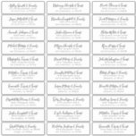 Schwarz-Weiß-Einfache Hochzeitsgast-Adresse Aufkleber<br><div class="desc">Besteht aus einfachen Serifen und moderner kursiver Schrift Typografie. Diese Elemente sind einfach,  elegant und modern. Das hier hat 30 Aufkleber. Dieses wurde von White Paper Birch Co. exklusiv für Zazzle entworfen. Abrufbar unter: http://www.zazzle.com/store/whitepaperbirch</div>