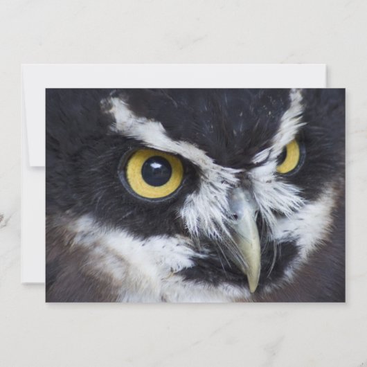 Schwarz-Weiß Einladung (Rückseite)