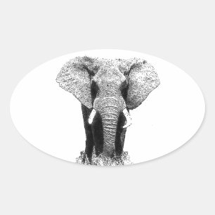 Schwarz-Weiß-Elefant Ovaler Aufkleber