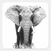 Schwarz-Weiß-Elefant Quadratischer Aufkleber (Vorderseite)