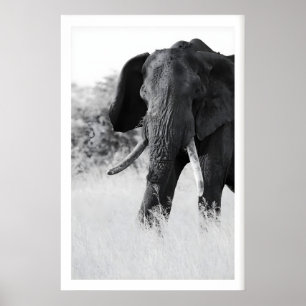 Schwarz-Weiß-Elefanten-Druck - Minimalistisch Poster