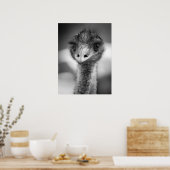 Schwarz-Weiß-Emu-Portrait Poster (Küche)