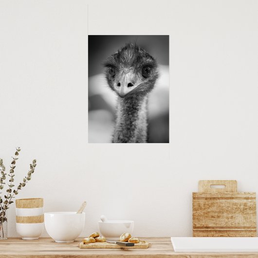 Schwarz-Weiß-Emu-Portrait Poster (Küche)