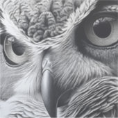 Schwarz-Weiß-Eule-Gesicht Aufkleber (Vorderseite)