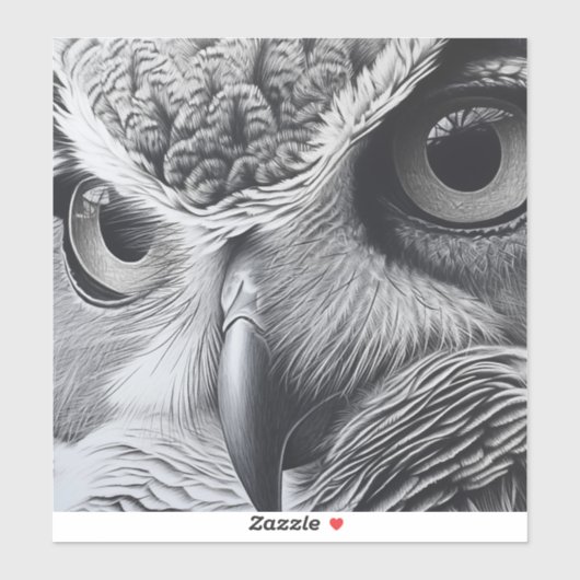 Schwarz-Weiß-Eule-Gesicht Aufkleber (Blatt)