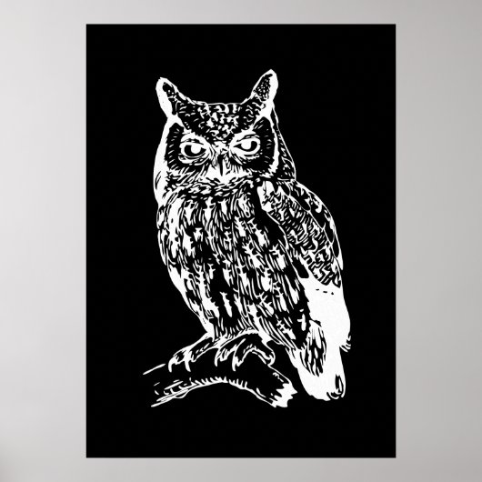 Schwarz-Weiß-Eulen-Kunst Poster (Vorne)