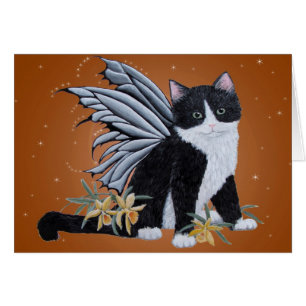 Schwarz-Weiß-Fee Kitten