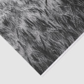 Schwarz-Weiß-Feld Seidenpapier (Ausschnitt)