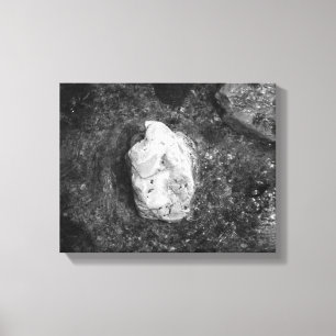 Schwarz-Weiß-Felsen im Wasser 11x14 Leinwanddruck