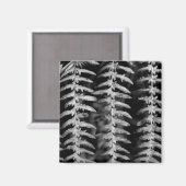 Schwarz-Weiß-Fern-Blätter-Magnet Magnet (Vorderseite/Rückseite)