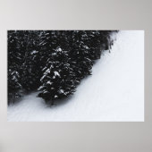 Schwarz-Weiß-Fichtenwald und Schnee Poster (Vorne)