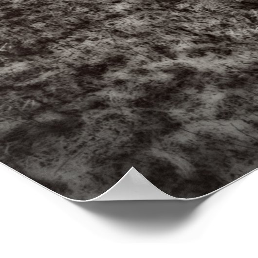 Schwarz-Weiß-Fischerei Poster (Ecke)