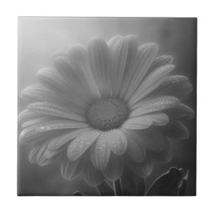 Schwarz & Weiß Fliese