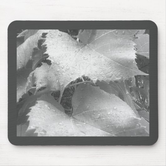 Schwarz-Weiß-Foto der Blätter "Nasse und Zauber" Mousepad (Vorne)