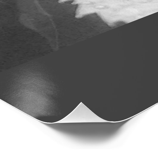 Schwarz-Weiß-Foto der Blätter "Nasse und Zauber" Poster (Ecke)