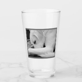 Schwarz-Weiß-Foto der Niedlichen Hundsruhe mit Vat Glas
