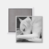 Schwarz-Weiß-Foto der Niedlichen Hundsruhe mit Vat Magnet (Vorderseite/Rückseite)