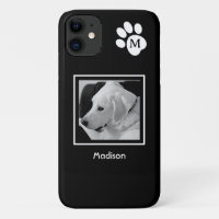 Schwarz-Weiß-Foto des Niedlichen Hundes und Paws
