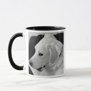 Schwarz-Weiß-Foto des schönen Weißen Hundes Tasse