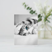 Schwarz-Weiß-Foto einer Katze Postkarte (Stehend Vorderseite)