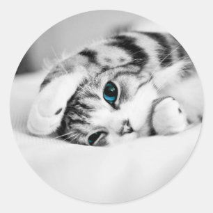 Schwarz-Weiß-Foto einer Katze Runder Aufkleber