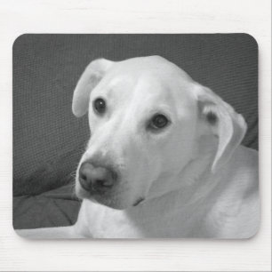 Schwarz-Weiß-Foto einer schönen, seelenvollen Hünd Mousepad