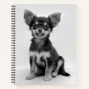 Schwarz-weiß-Foto eines Chihuahua-Welpen Notizblock