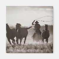 Schwarz-Weiß-Foto eines Cowboy Lassoing Horses