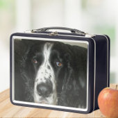Schwarz-weiß-Foto eines English Springer Spaniels Metall Brotdose