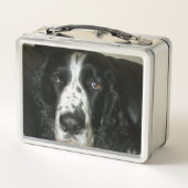 Schwarz-weiß-Foto eines English Springer Spaniels Metall Brotdose (Rückseite)