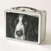 Schwarz-weiß-Foto eines English Springer Spaniels Metall Brotdose (Vorderseite)