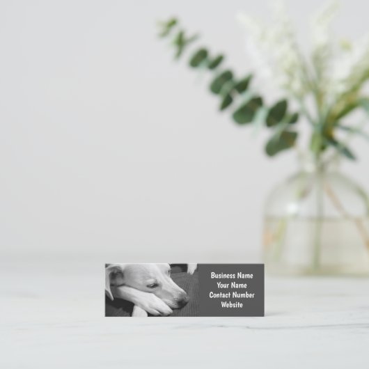Schwarz-Weiß-Foto eines Hundes Schlafen Einfach Mini Visitenkarte (Stehend Vorderseite)