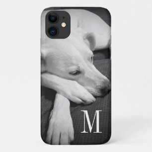 Schwarz-Weiß-Foto eines wunderschönen Hundeschlafe Case-Mate iPhone Hülle