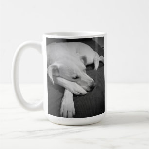 Schwarz-Weiß-Foto eines wunderschönen Hundeschlafe Kaffeetasse