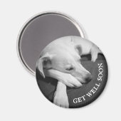 Schwarz-Weiß-Foto eines wunderschönen Hundeschlafe Magnet (Vorderseite/Rückseite)