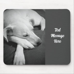 Schwarz-Weiß-Foto eines wunderschönen Hundeschlafe Mousepad