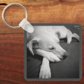 Schwarz-Weiß-Foto eines wunderschönen Hundeschlafe Schlüsselanhänger (Vorderseite)