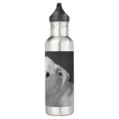 Schwarz-Weiß-Foto eines wunderschönen, seelenvolle Edelstahlflasche (Rechts)