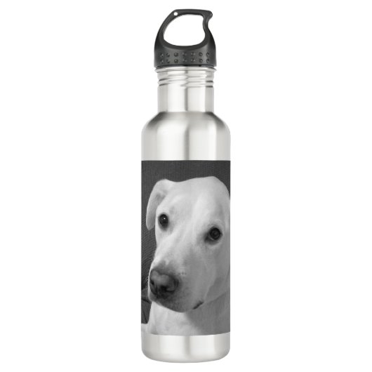 Schwarz-Weiß-Foto eines wunderschönen, seelenvolle Edelstahlflasche (Vorderseite)