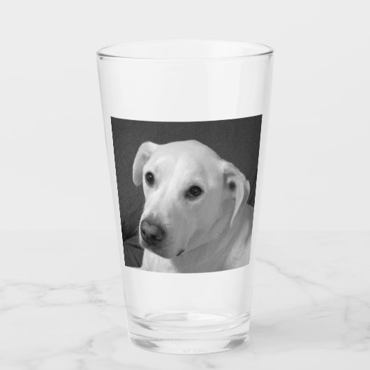 Schwarz-Weiß-Foto eines wunderschönen, seelenvolle Glas (Vorderseite)