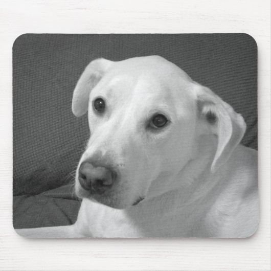 Schwarz-Weiß-Foto eines wunderschönen, seelenvolle Mousepad (Vorne)