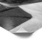 Schwarz-Weiß-Foto eines wunderschönen, seelenvolle Poster (Ecke)