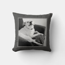 Schwarz-Weiß-Foto, Hunde grau zu sprechen