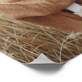 Schwarz-Weiß-Foto-Monogrammfamilie Poster (Ecke)