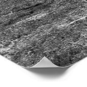 Schwarz-Weiß-Foto-Poster Frühjahrslandschaft Poster (Ecke)