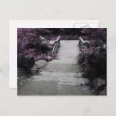 Schwarz-Weiß-Foto Postkarte (Vorne/Hinten)