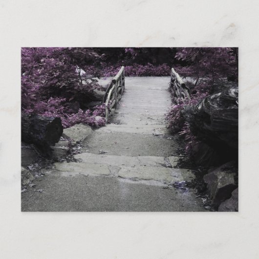 Schwarz-Weiß-Foto Postkarte (Vorderseite)