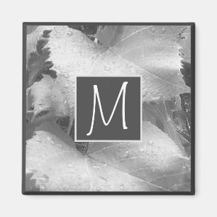 Schwarz-Weiß-Foto von Blätter der Weintraube Anfän Magnet