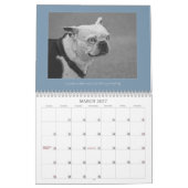 Schwarz-Weiß-Fotografien Tiere Landscape Bird Kalender (Mär 2027)